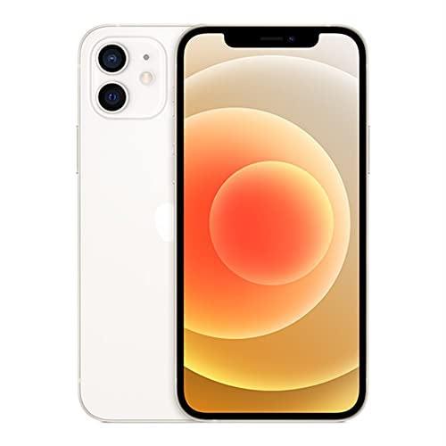 iPhone 12 256